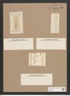 Navicula icostauron (Ehr.?) (de-Toni-Nr.: Genus 1, Species 384) Zeichnungen Sammlung Grunow Nr. 861 (NHMW-BOT-W0367307)